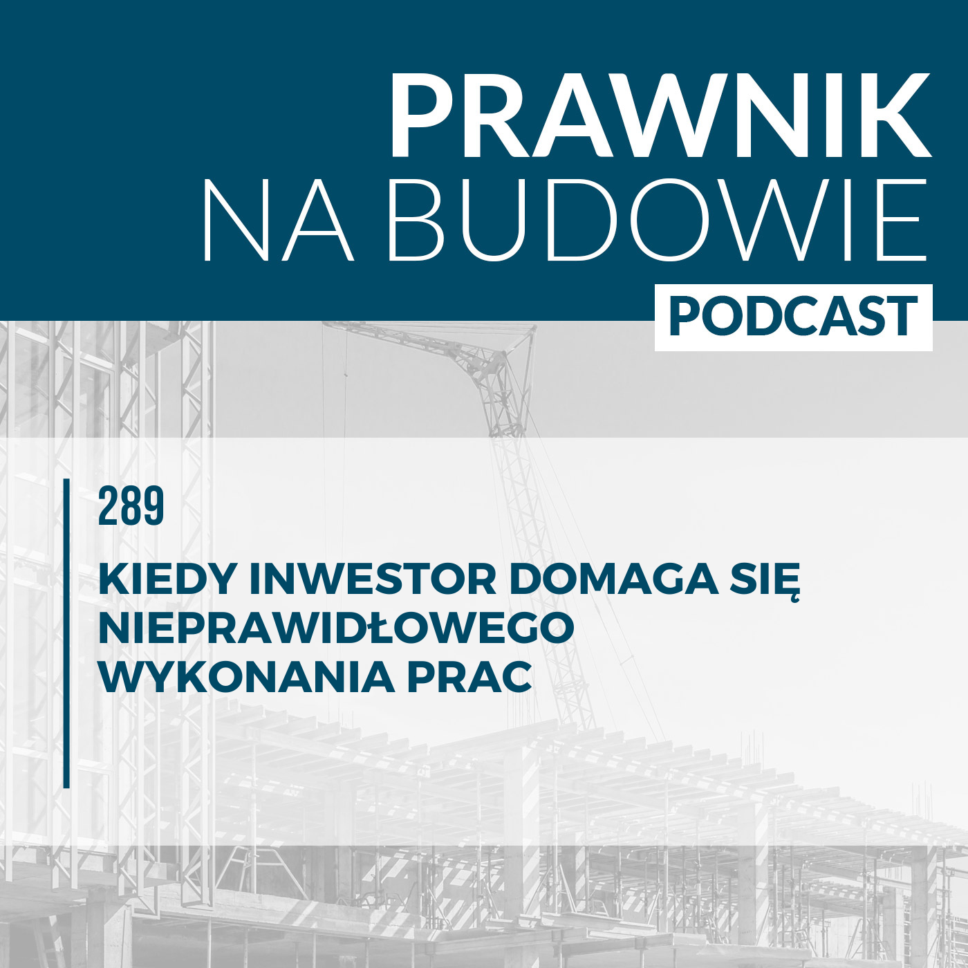 Kiedy inwestor domaga się nieprawidłowego wykonania prac #290